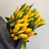 ТЮЛЬПАНЫ — изображение 6
