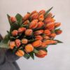 ТЮЛЬПАНЫ — изображение 5